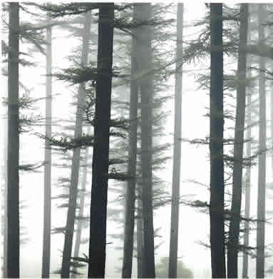 ���썎���A�[�g�ʐ^�W