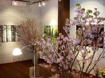 �����J�ł�