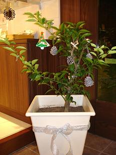 �Վ��x�Ƃ̂��m�点�ł�