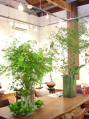 �O���[���̖؁X�Ɉ͂܂�āc