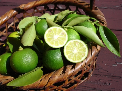 �I���W�i���I�[�_�[�Ƌ�